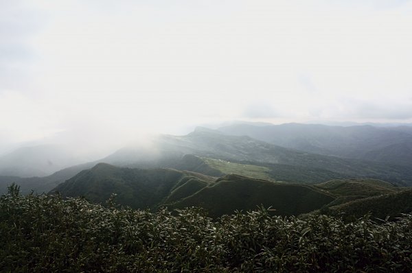 灣坑頭山 桃源谷步道 連走2034838
