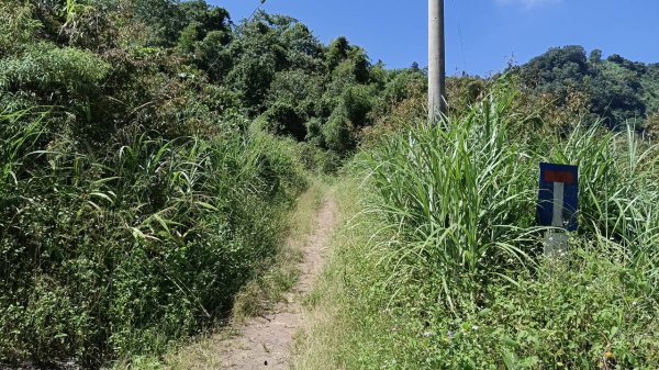 20251004 馬那邦山 - 珠湖 登山口2904979
