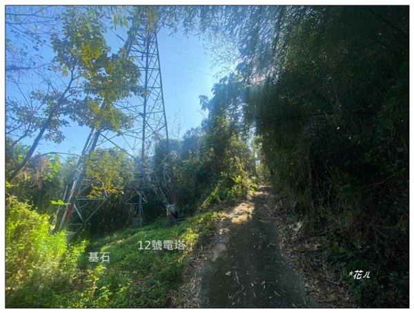 后里 七星山 新發現基石2990042