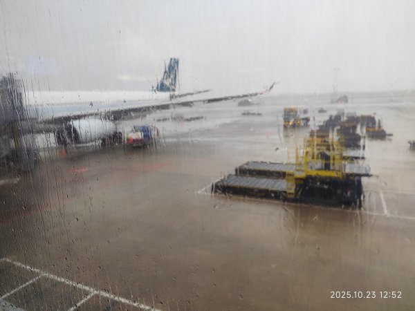 桃園國際機場-香港機場-成都天府機場-天府九鼎國際大酒店2933576