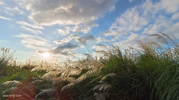 八里左岸夕陽火燒雲10/12&紗帽路上的夕陽10/142621708