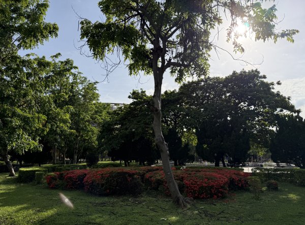 [2026臺北健走趣-05/50] 2026_0712_美崙公園3097860