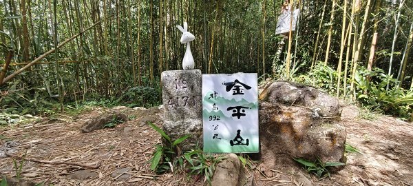 2025/07/06_金牌縱走(觀音洞出發小O型)2829099