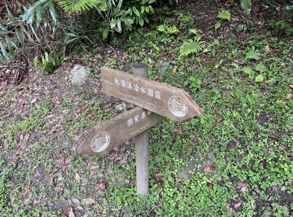 [跟著2025雙北世壯運探索雙北市-9/21] 2025_0615 越野探險徑（大溝溪治水生態園區－2815544