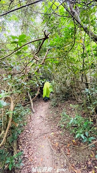 【屏東恆春】墾丁半島最高峰。 小百岳集起來。 編號81小百岳-大山母山步道1722630