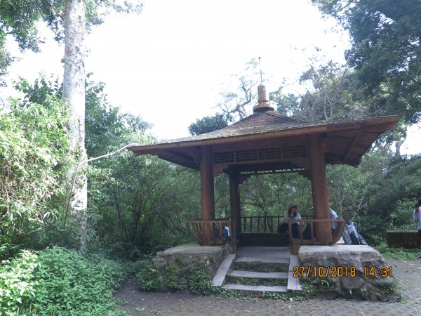 特富野古道449287