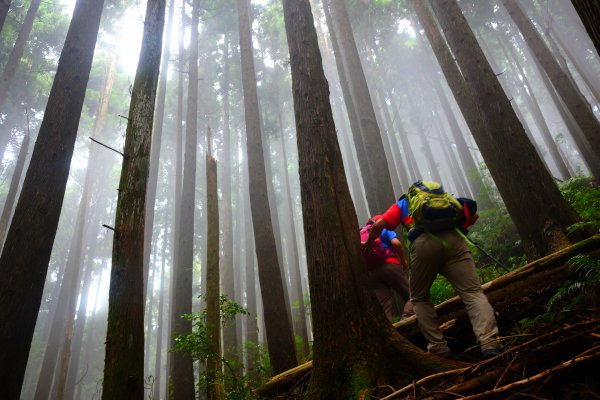 大混山縱走李崠山631545