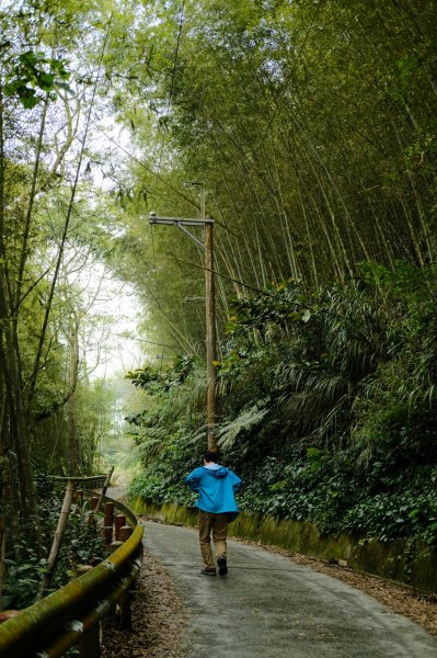 【雲林-嘉義】挑筍古道，車心崙步道897749