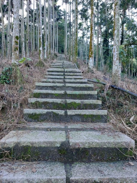 雲嘉五連峰2631421