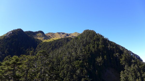 大好天氣的奇萊東稜488942