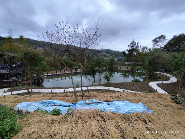 【臺北大縱走 7】3-3 相思炭窯→樟樹步道→彩雲亭→樟山寺→飛龍步道→政大校園→市府轉運站2654587