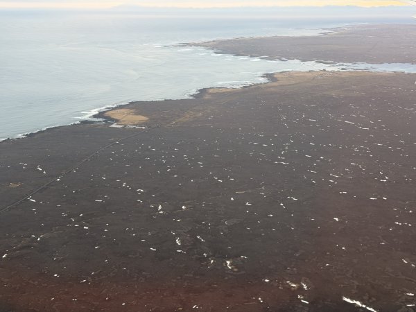 [紐約馬之行-50] 2025_1109~11 回到冰島/美國2952663