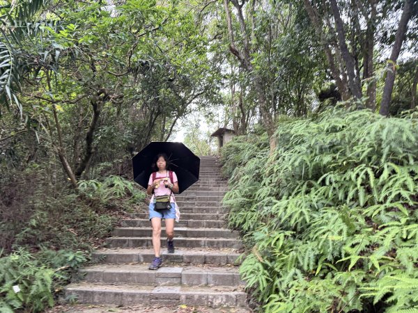 劍潭山+老地方202507192863881