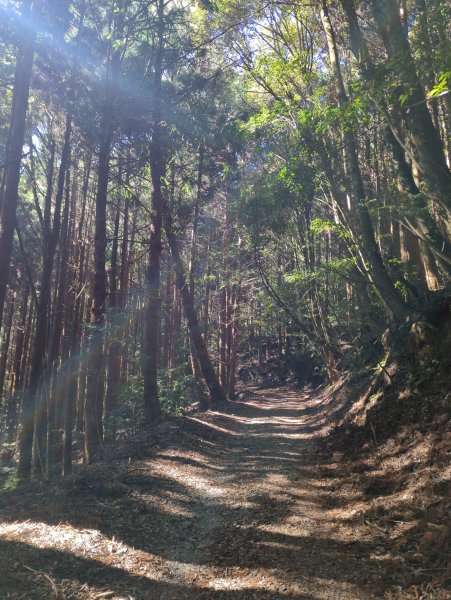 2025.12.06－北坑山步道&雪見遊憩區2956243