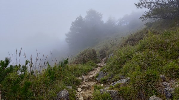 雪山西稜3135046