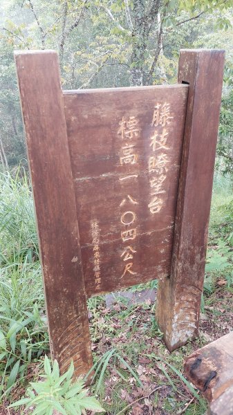 202308藤枝國家森林遊樂區2272543
