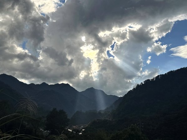 回程下雨的 松鶴上 八仙山 202510252925770