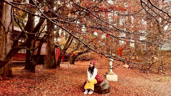 🌈12/20(六)福壽山農場~追風趣✨FB：熊熊趴爬走🌈2967266