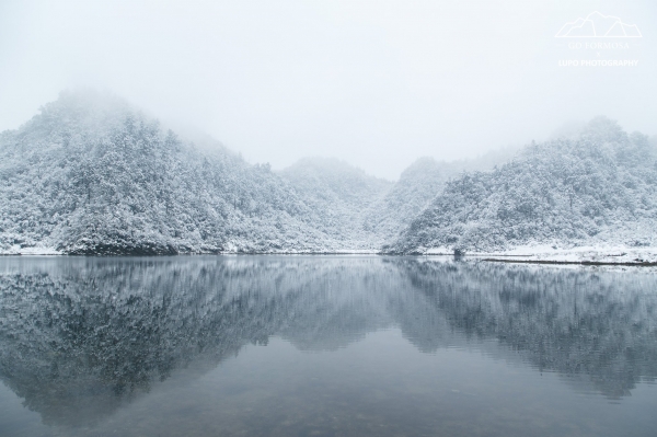【攝野紀】夢幻般的雪中松蘿湖264542