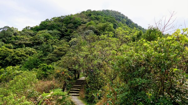 汐止大尖山2971878