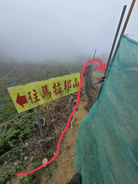 馬那邦山之雲海／雲瀑／楓紅／太陽琉璃光2668329