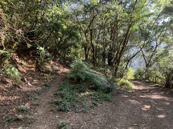 20250301屏東戶亞宇山主峰-基點峰2732970