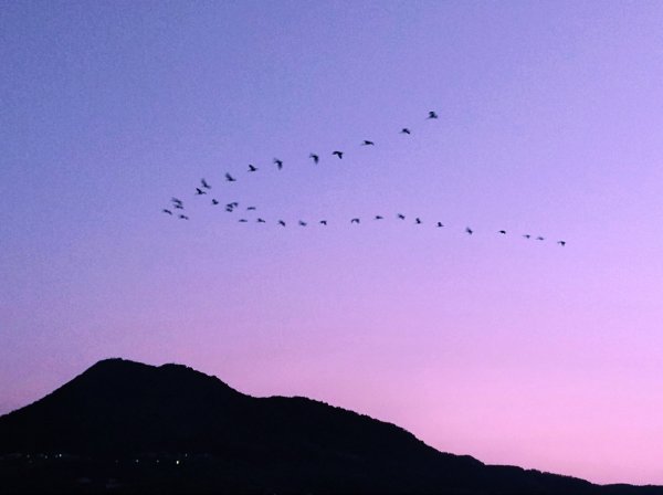 淡水小鎮｜夕陽暮色653961