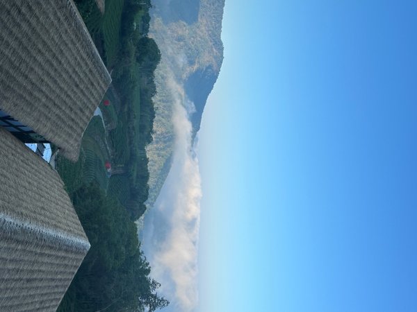 嘉義大凍山大塔山+紅毛埤山3067149
