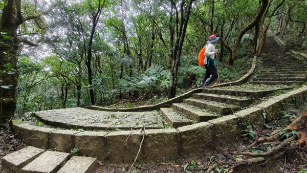 燕溪古道-大崙尾山西峰-仙座台山-圓明寺步道2926545