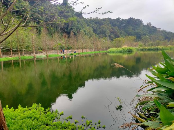 大溪［山豬湖生態園區］+［中庄吊橋］2231687