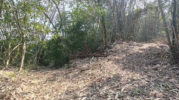 西阿里關山3033620