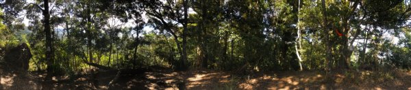 南庄賽夏族部落名山489988