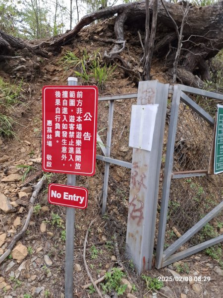 2025.02.08 限時秘境?菜市場? 北港溪峽谷步道2709000