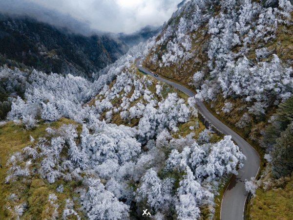 元旦初雪訪太平山 | 銀白色童話世界1224896