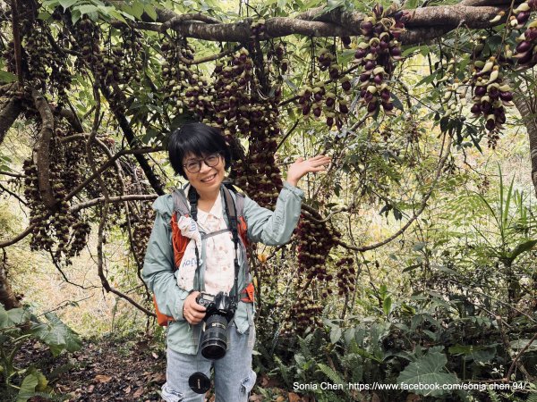 不是遠，是有沒有出門 2026 D0326 ｜滿月圓 血藤