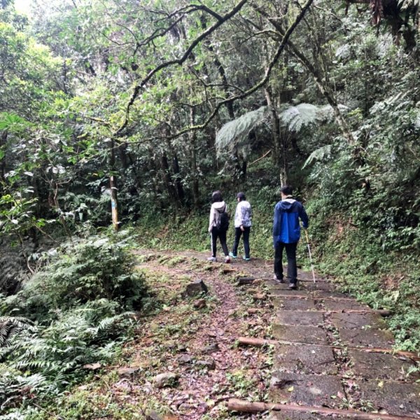 23.跑馬古道（反走）輕鬆走走、蘭陽平原1171334