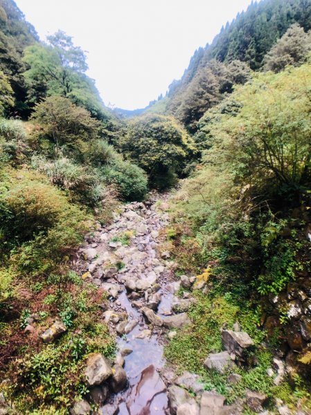 1090423鼓山出動特富野941000