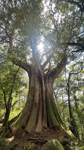 屏風山2860798