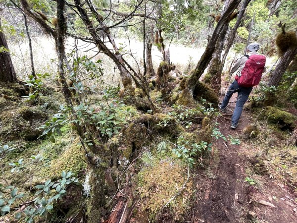 魔幻森林三星山與三星池1658318