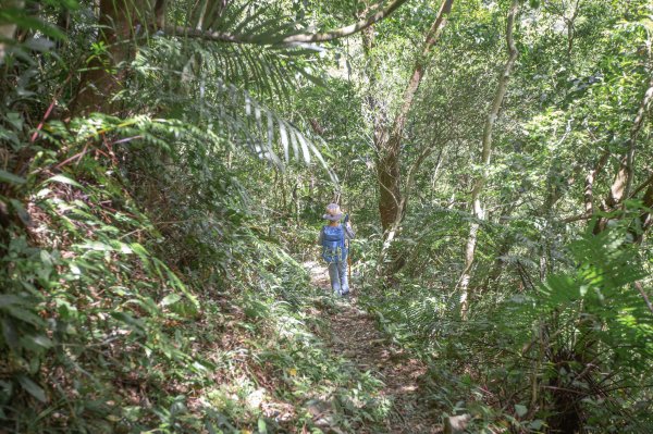 闊瀨古道-沿北勢溪谷而行的夏末之旅（淡蘭古道）2287642