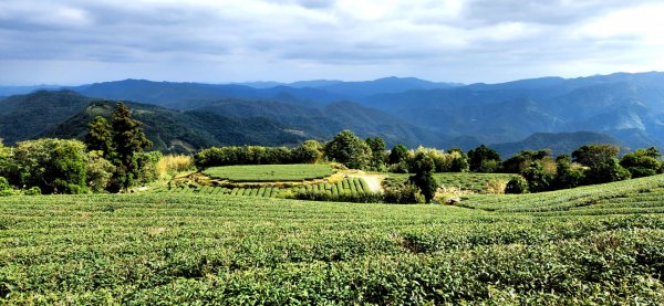 石碇皇帝殿（西峰，東峰），天王峰，坪林獅公髻尾山，文山指南宮千階步道（竹柏參道），十六分山，貓空尖1971325