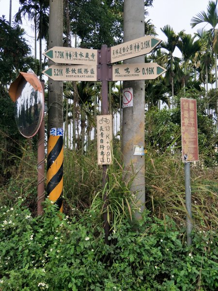 彰化百大：藤山步道1590378