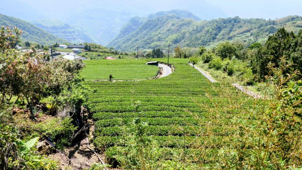二延平步道。貿易戰2764956