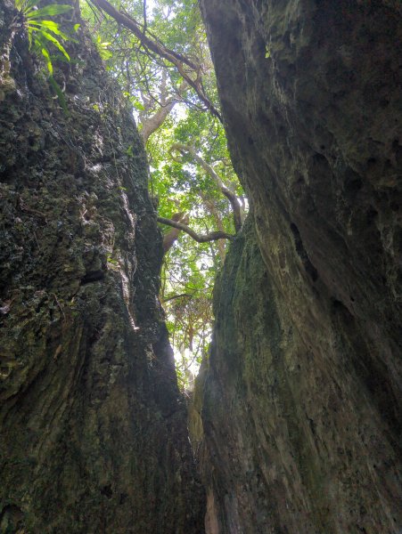 2024.06.09－墾丁國家公園2523869