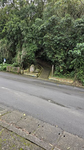 大崙頭尾山2872668