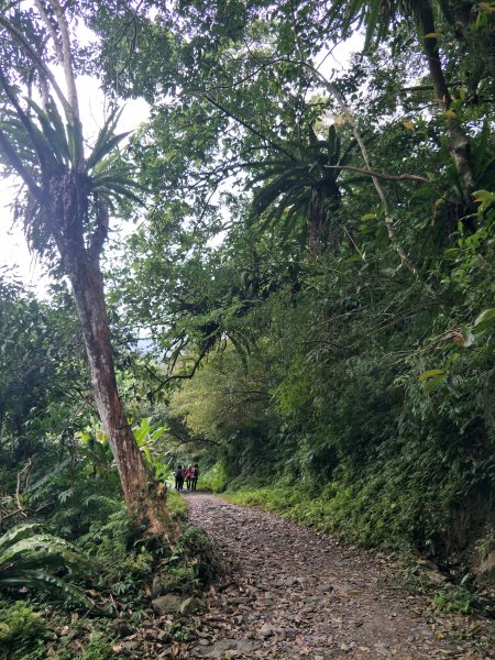 (臺灣百大必訪步道)松羅步道1641085