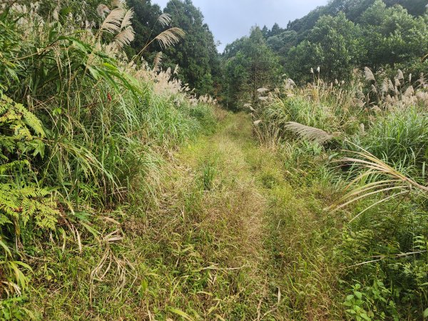 火燒寮山熊空山竹坑山加九嶺O型2966279