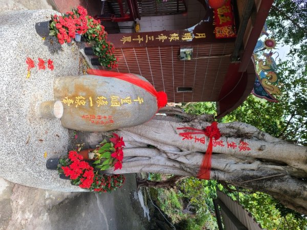 金螢寶山貴妃道2703228