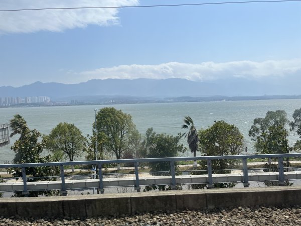 2024_0324 九江馬拉松2469739