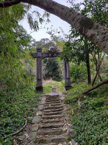 大溪齋明寺古道828754